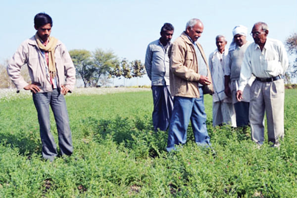 What is UP Agriculture and How to Use It: A Farmer-Friendly Guide
