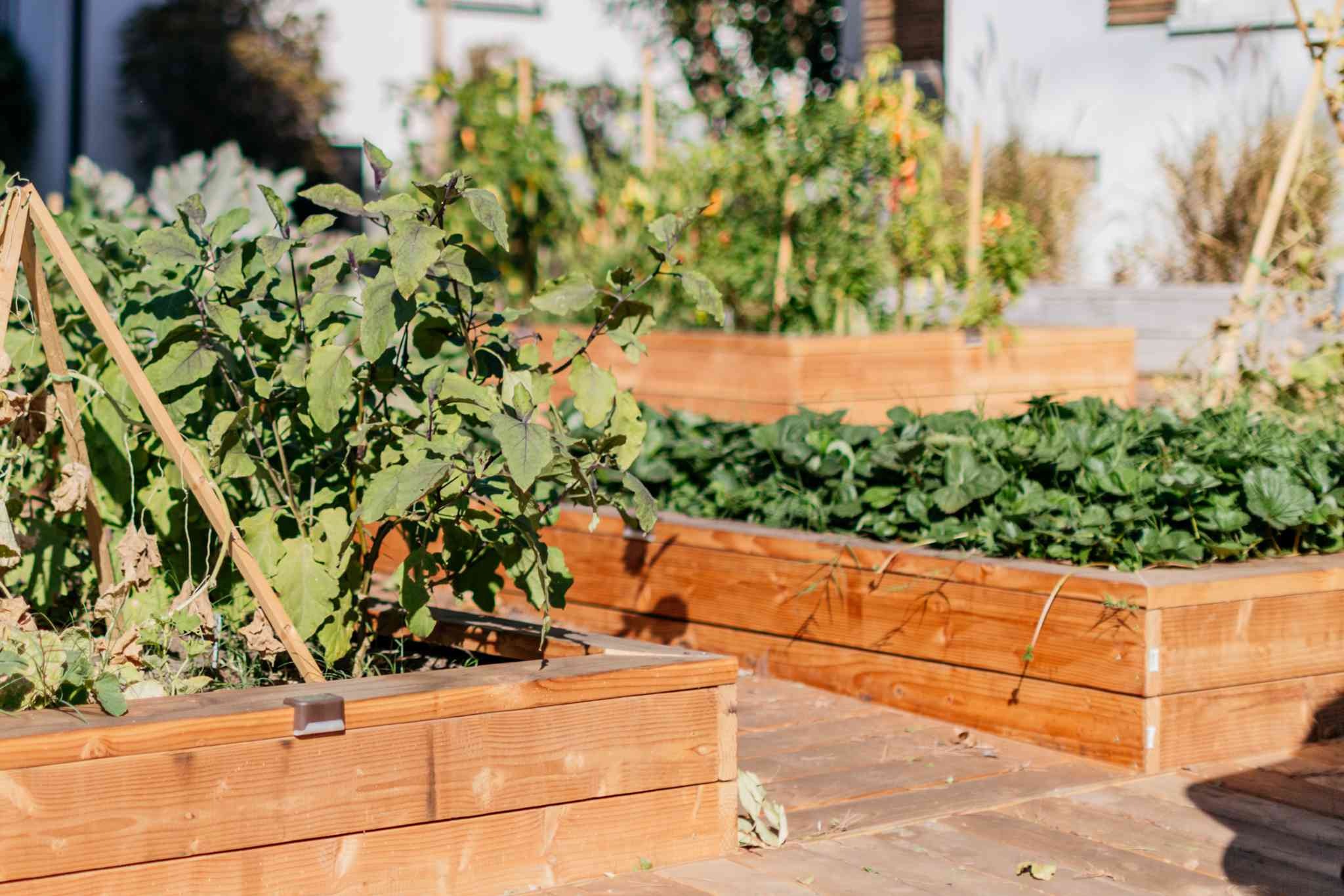 Garden Planter Box