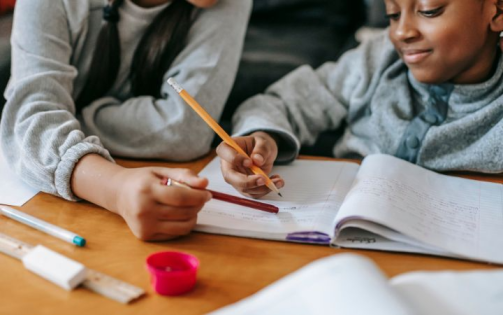 assessment help